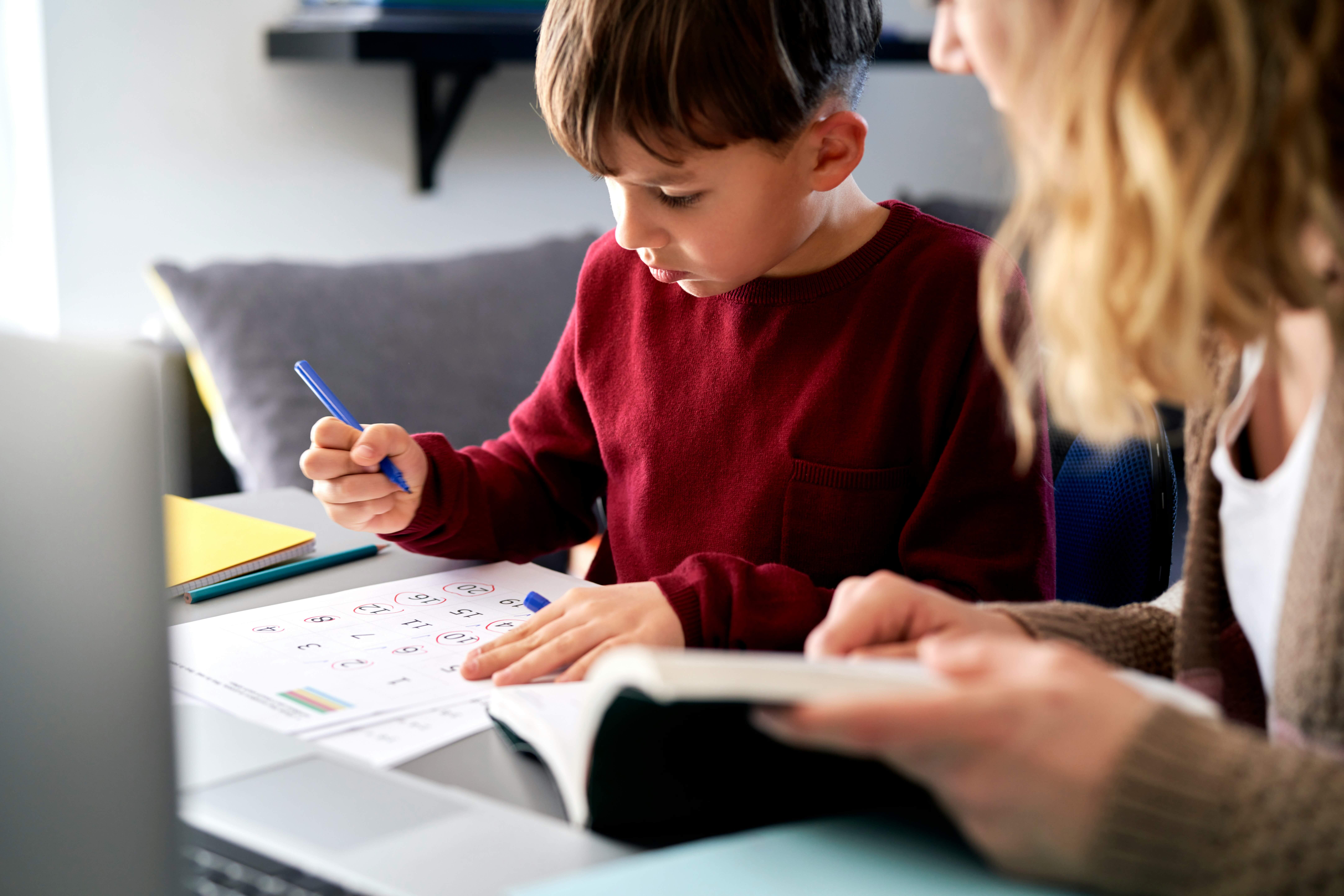 Diagnostika in razvojna ocena