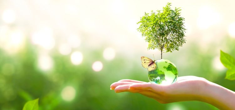 Risparmio energetico e rispetto per l’ambiente, con il raffrescamento adiabatico naturale