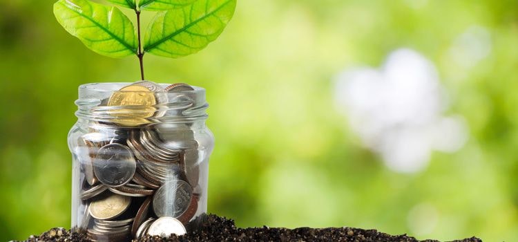 Raffrescatori evaporativi: i vantaggi dell'ecologia