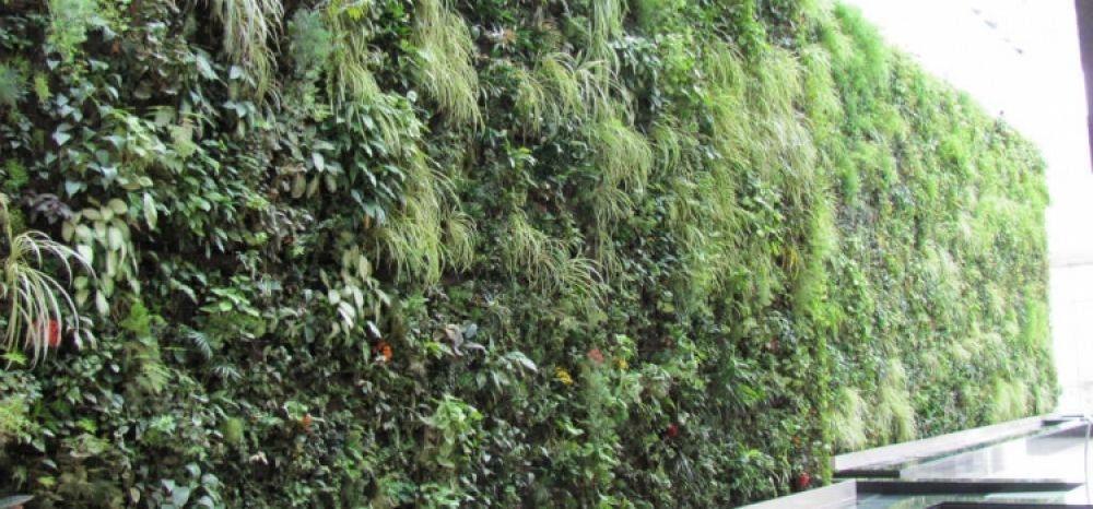 Biowall: il verde verticale si trasforma in un sistema di raffreddamento indoor