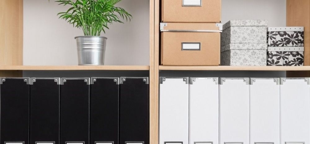 Con le piante in ufficio migliorano umore e produttività dei dipendenti