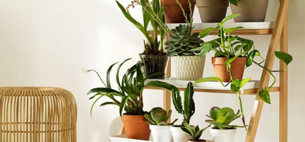 Aquarial al Festival dell'Ambiente di Bergamo, 16 - 18 maggio