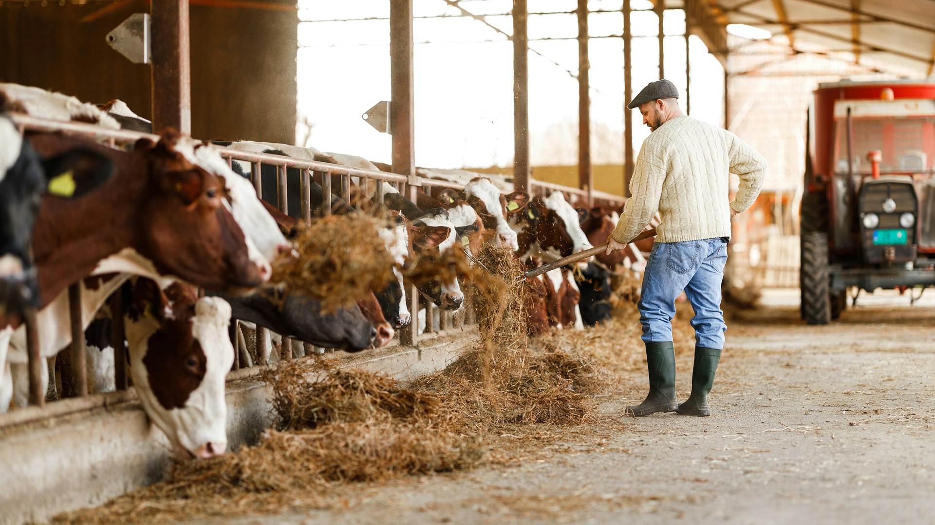 Agricoltura e allevamento