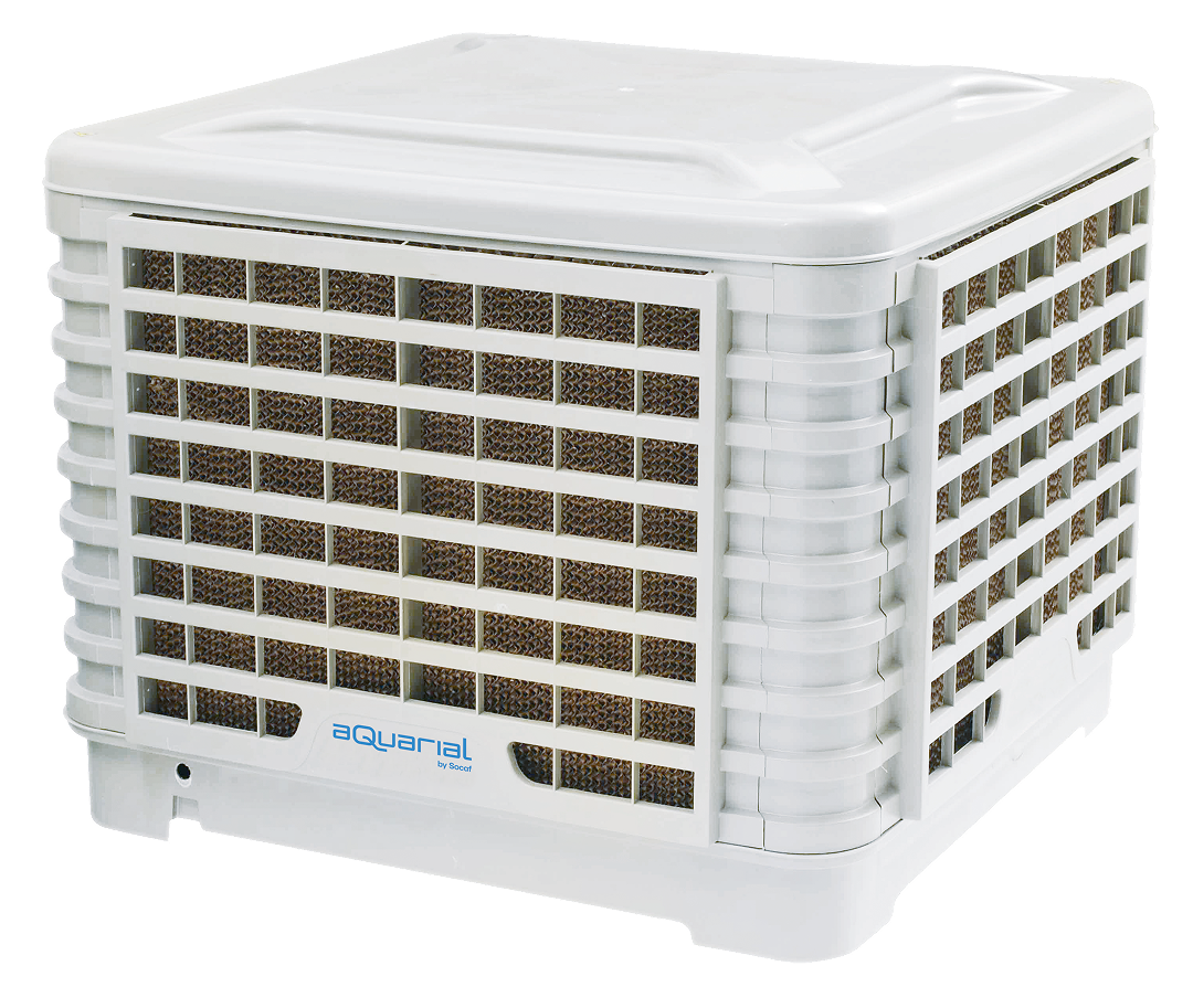 BQool 250