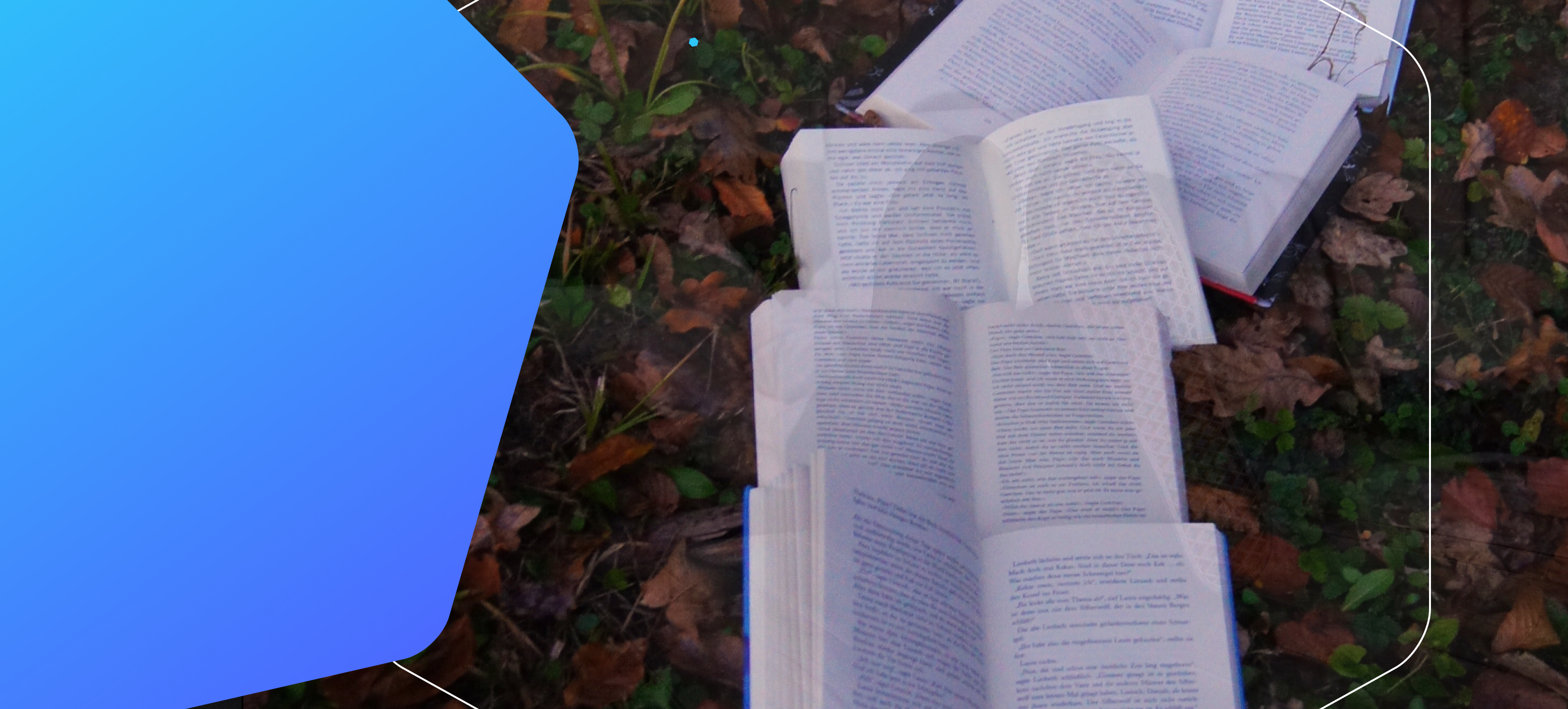 What is DeepSeek?
