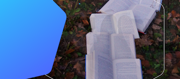 What is DeepSeek?