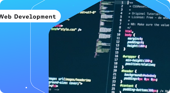 The Role of Data Analysis in Web Development