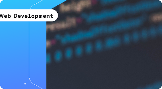 4 Data Science Programming Languages Used in 2025