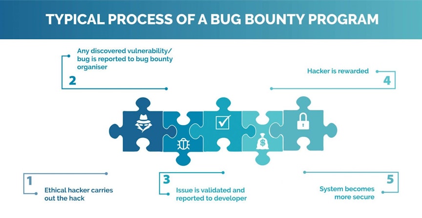 What Are Bug Bounty Programs and How Much Do They Pay? | Ironhack Blog