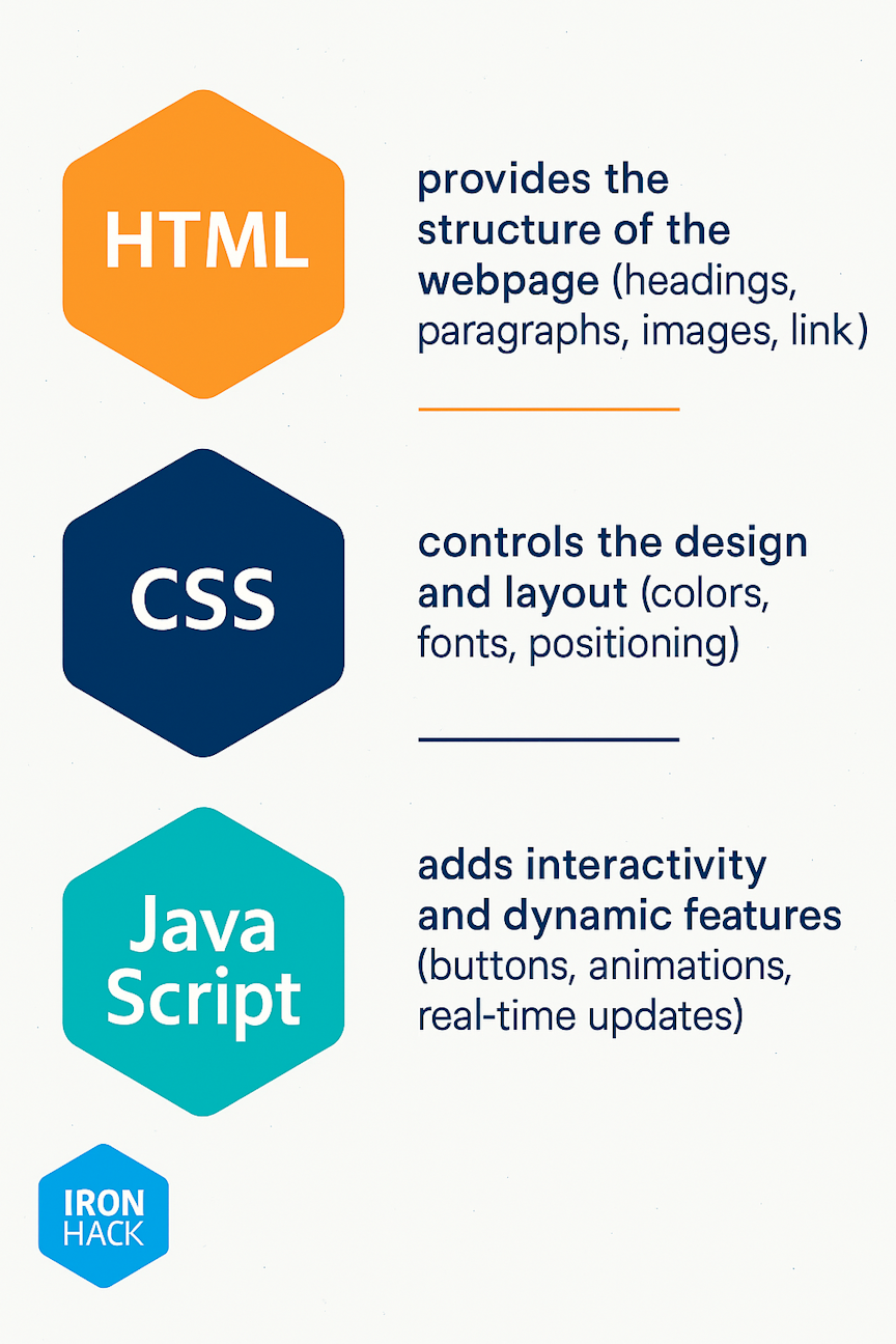 HTML, CSS, & JavaScript