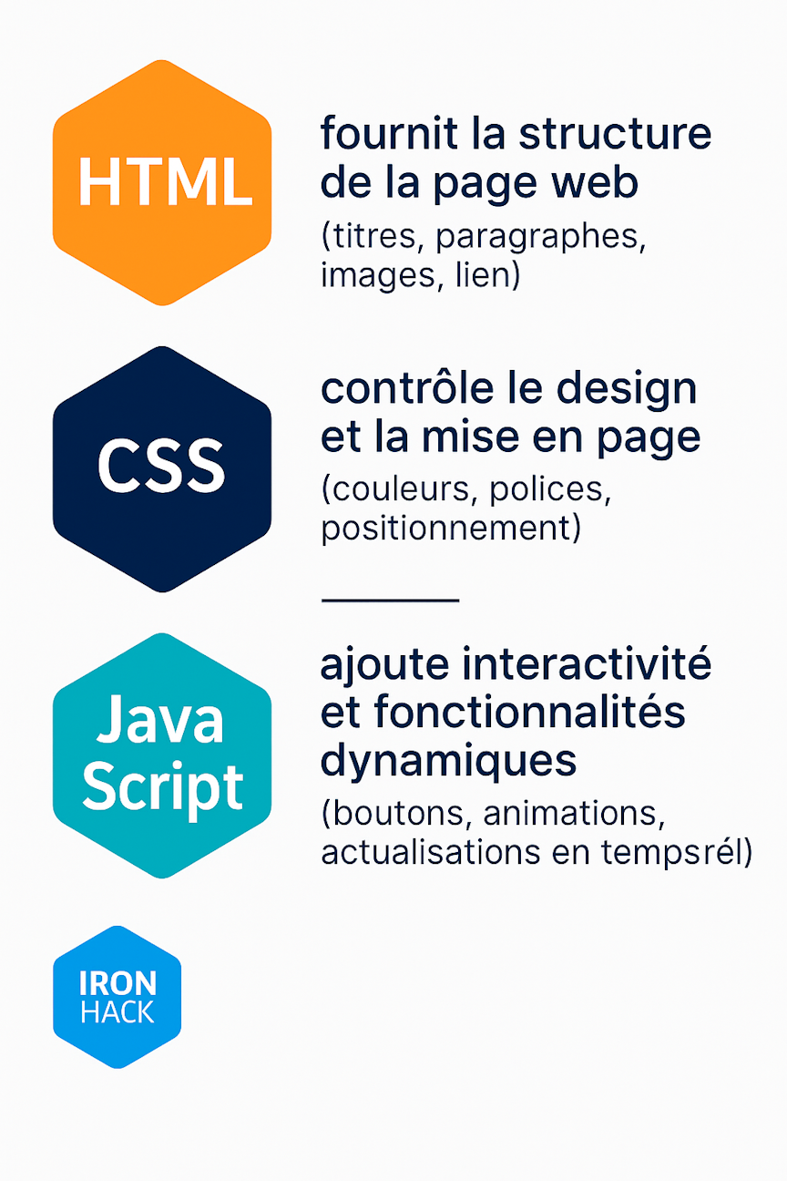 Options de carrière dans le Web Dev