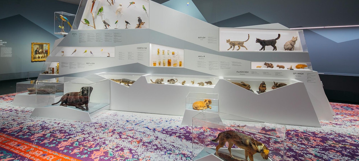 Temporary Exhibition “Pets Friends Forever”