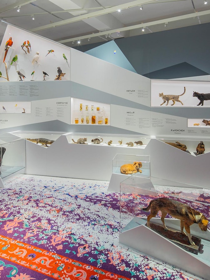 Wechselausstellung “Tierisch beste Freunde”