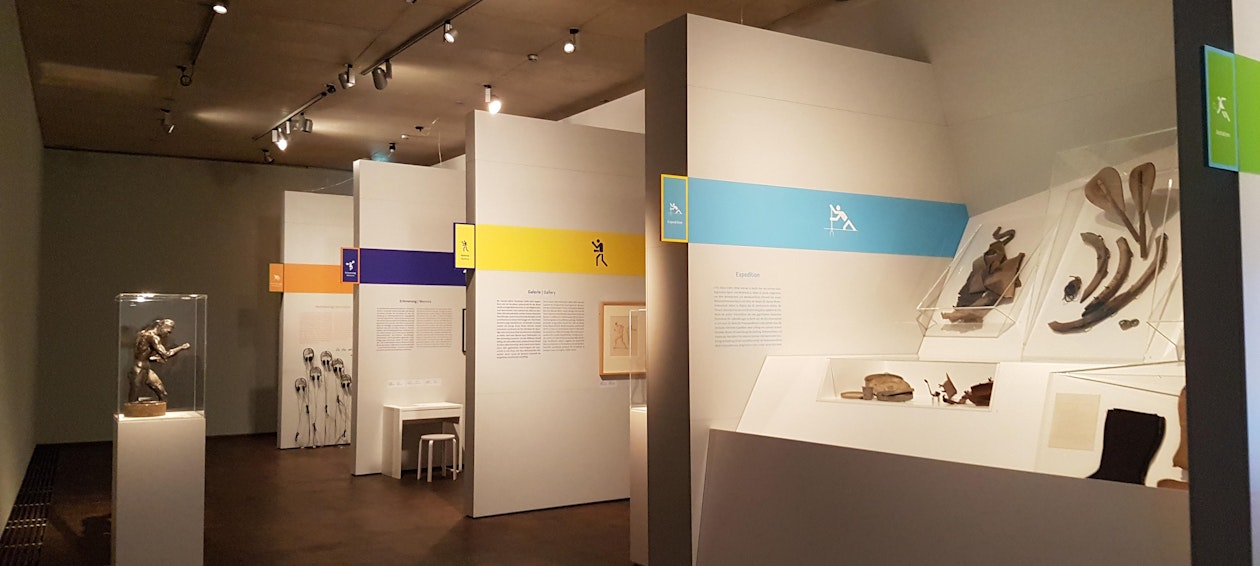 Exposición temporal «Never walk alone»