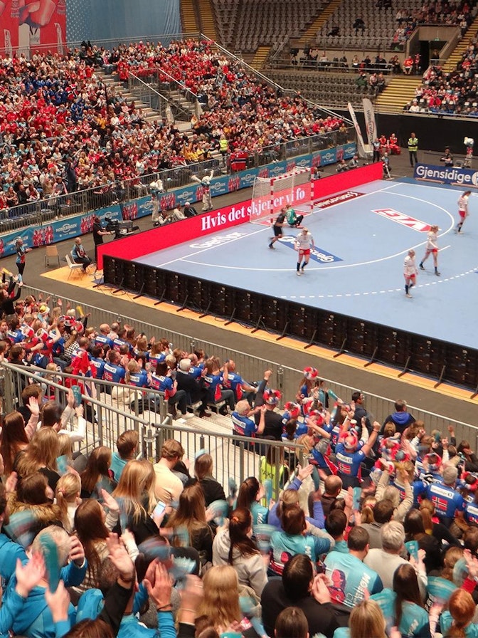 Handball Møbelringen Cup