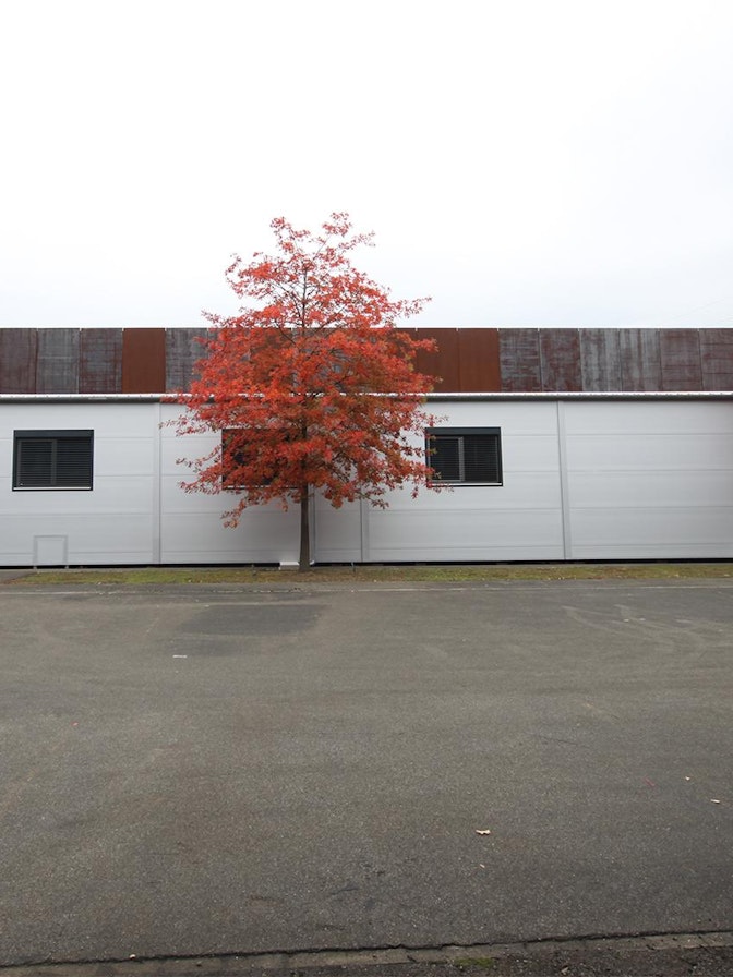Temporäre Lager- und Werkstatthalle Temporäre Lager- und Werkstatthalle