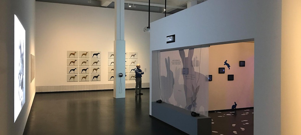 Temporary Exhibition “Pets Friends Forever”