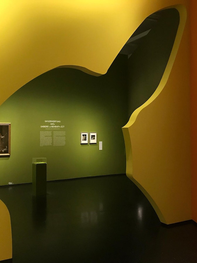 Wechselausstellung “Tierisch beste Freunde”