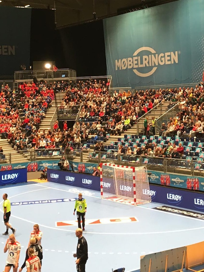 Handball Møbelringen Cup
