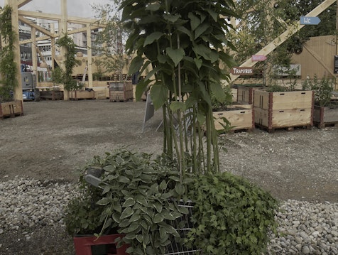 MICAS Garten Zürich