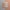 Samples image