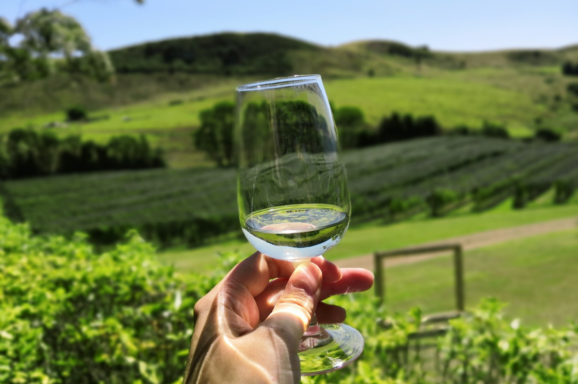 Winery Water Purification