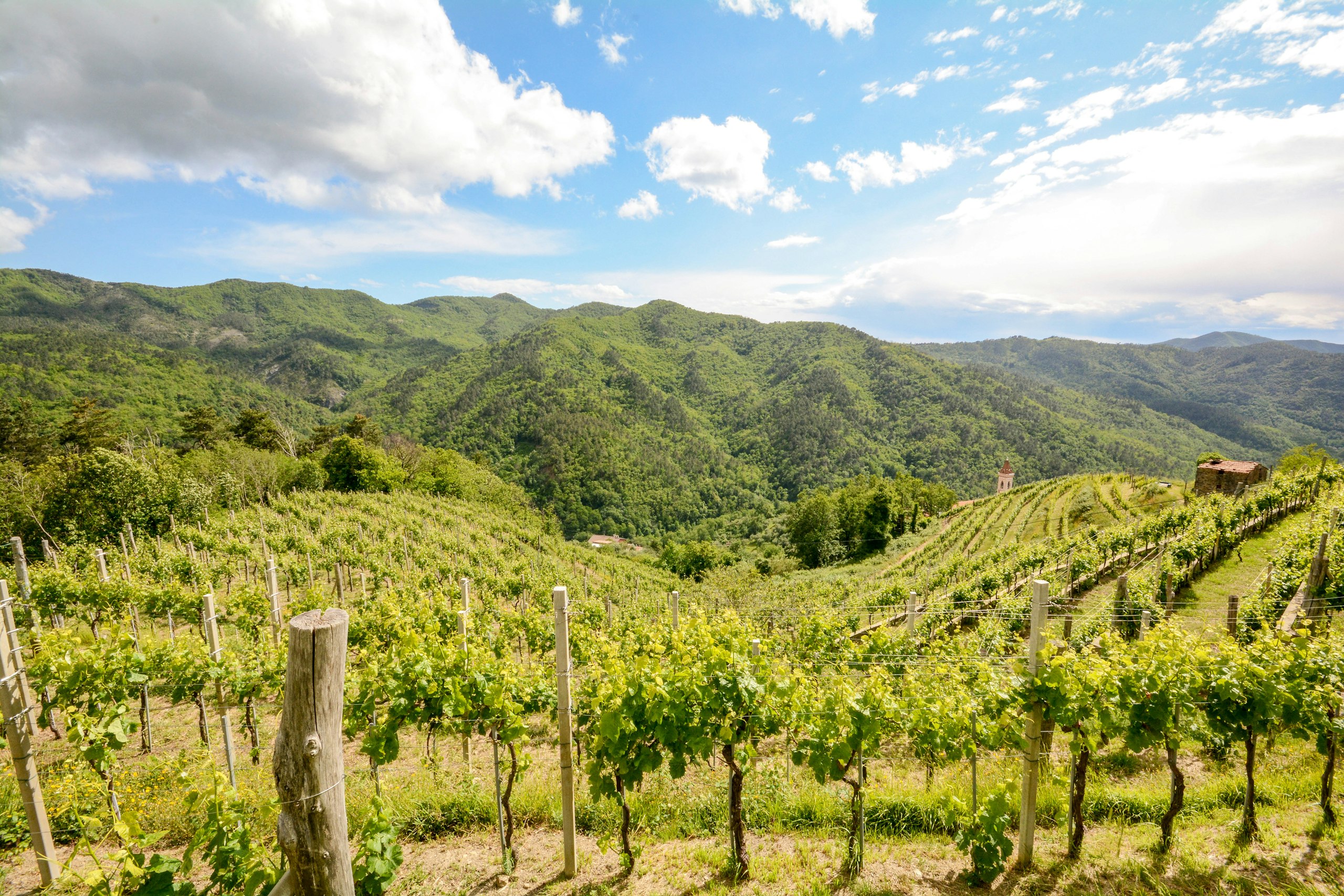Winery Water Treatment Winery Water Reuse Systems