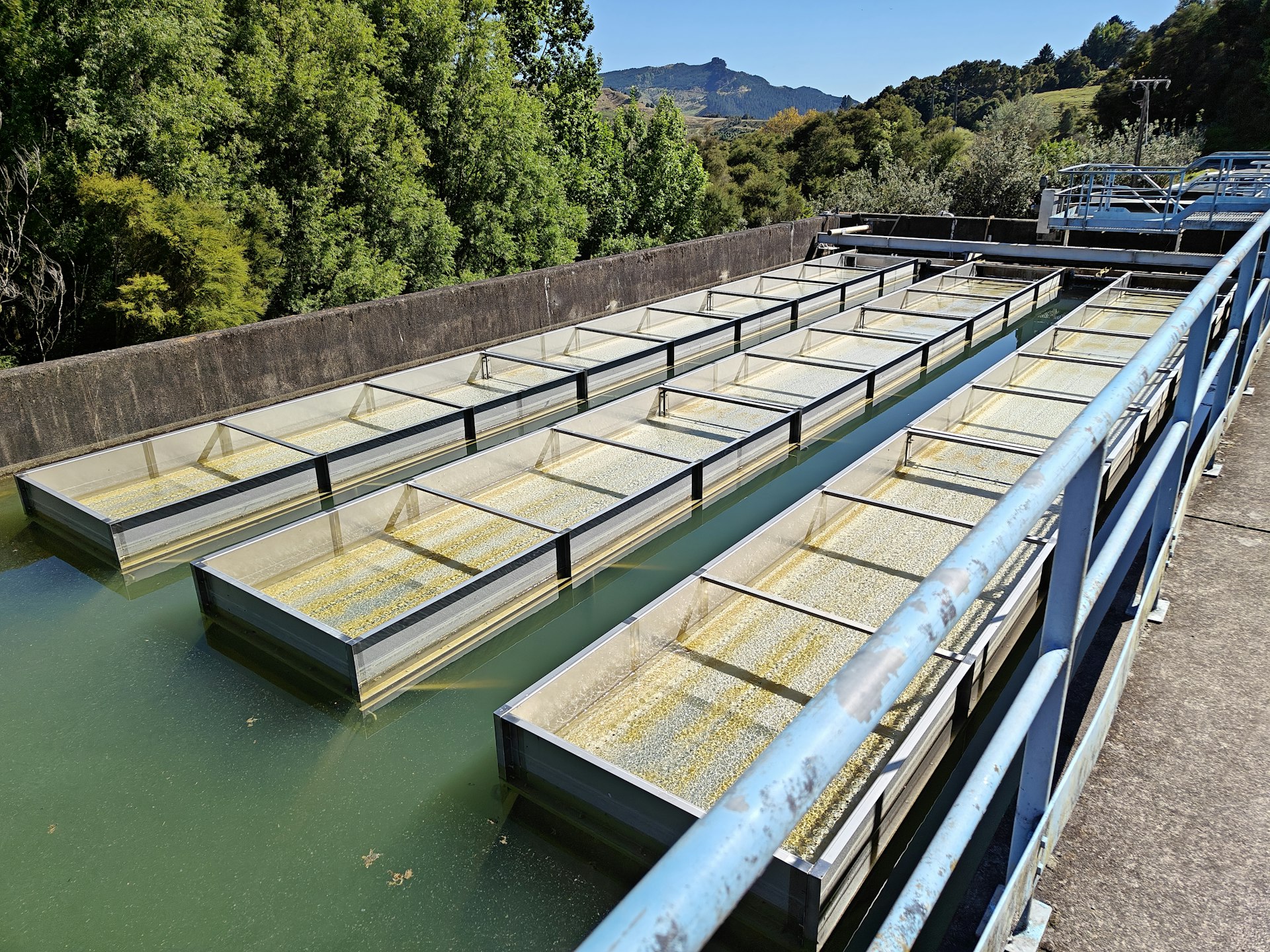Lamella Pre-treatment System Post-Cyclone Gabrielle Lamella Pre-treatment System Post-Cyclone Gabrielle
