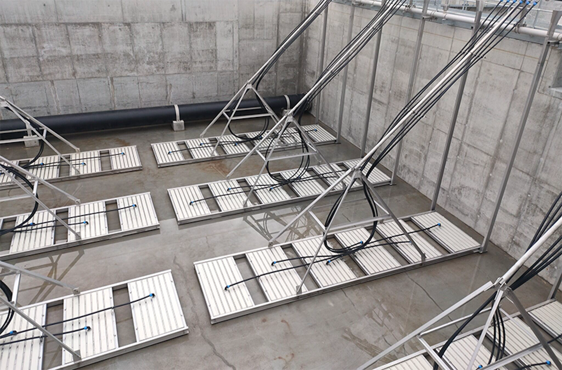 Aeration Biological Nutrient Removal BOD and COD Aeration Biological Nutrient Removal BOD and COD