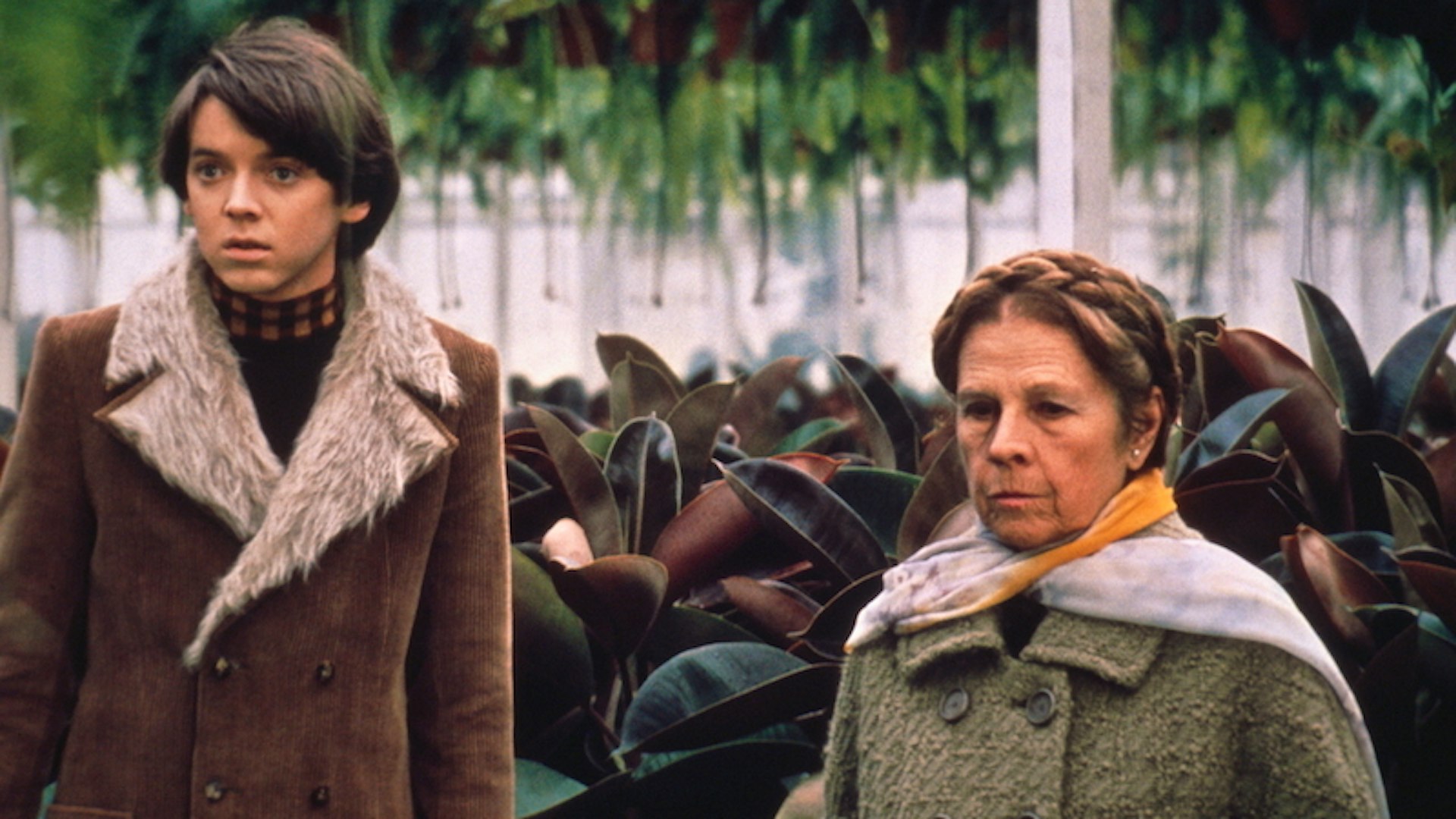 Harold and Maude