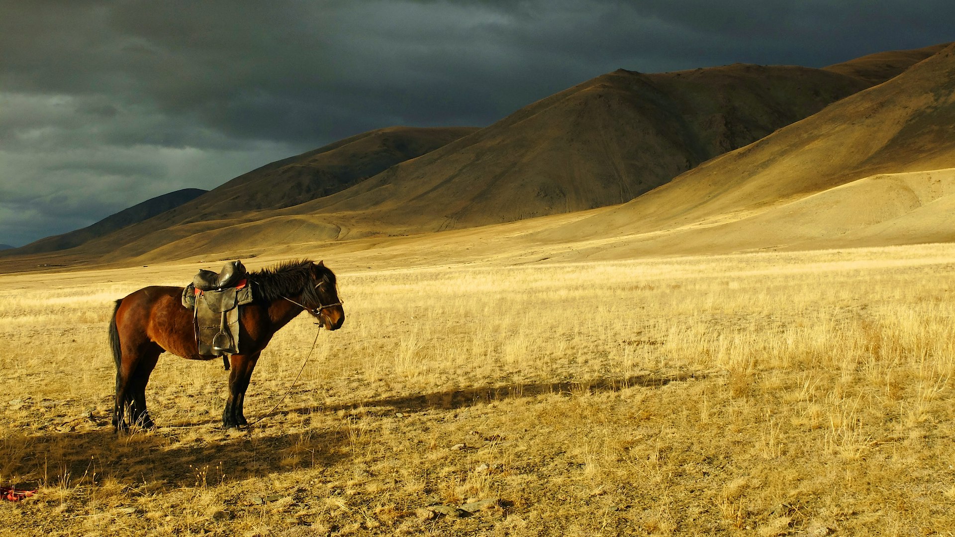 Barszcz! Is Rusland het nieuwe Mongoolse rijk?
