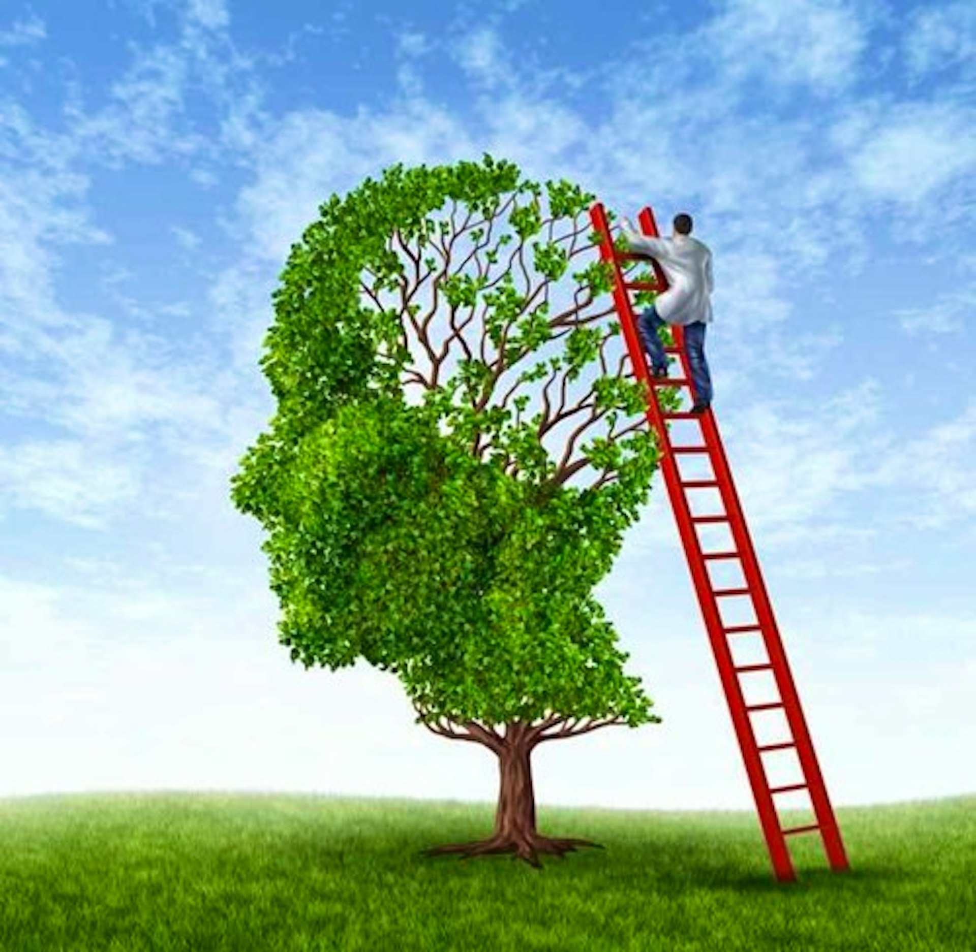 Alzheimer Trefpunt 