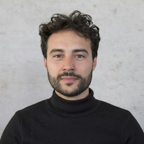 Dario Bottino Leone