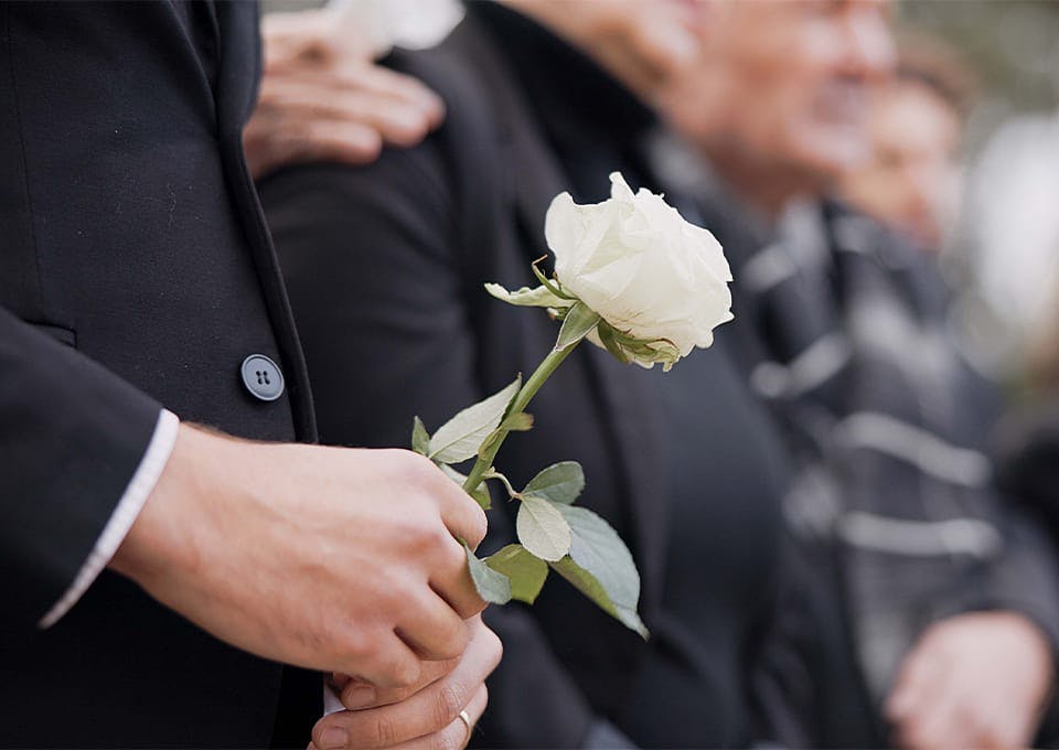 people holding white roses