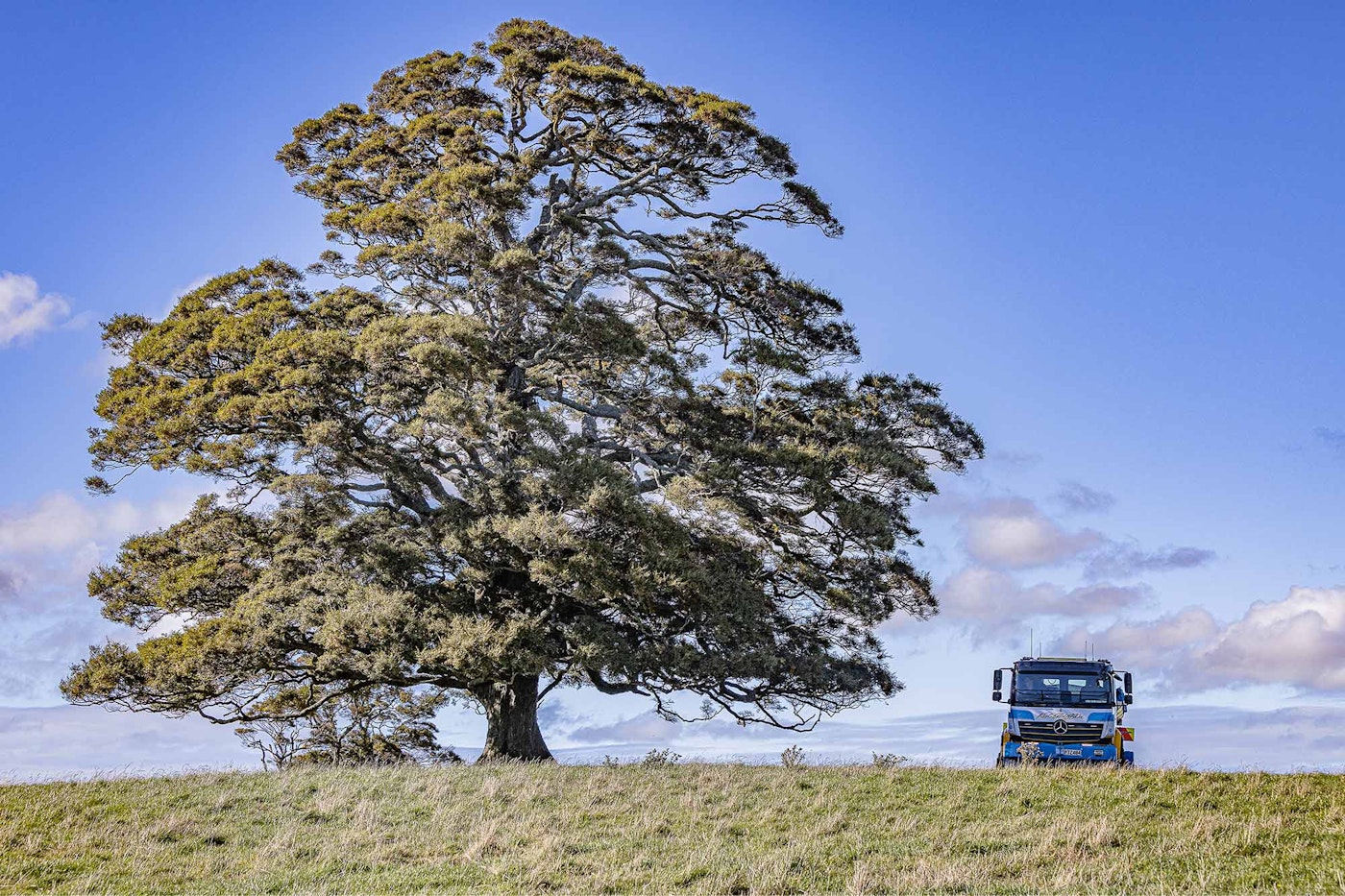Kui, Griffin & Co's Mercedes-Benz Atego 1630 4x4 spreader from Keith Andrews next to tree.