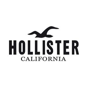 Hollister Logo