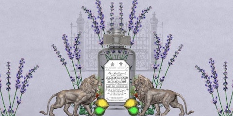 Illustration of two lions with a stone