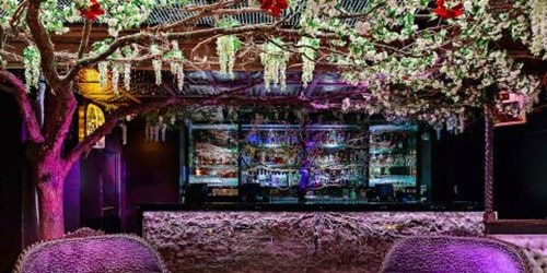 Outside a restaurant with a purple glow