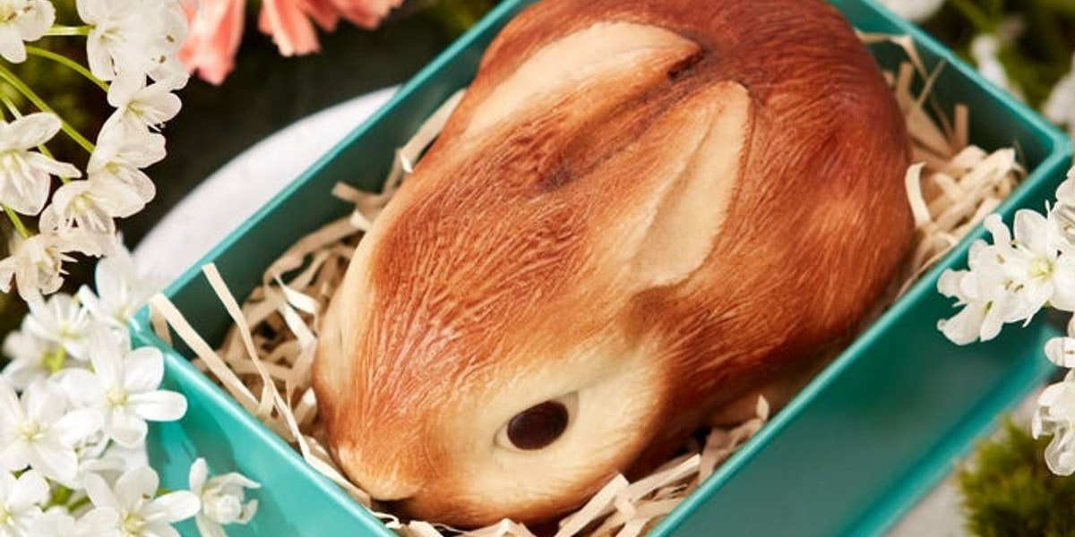 Brown rabbit in a green box