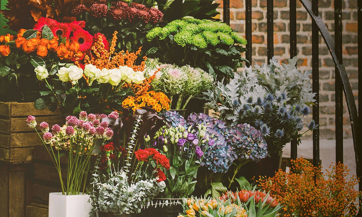 Flowers