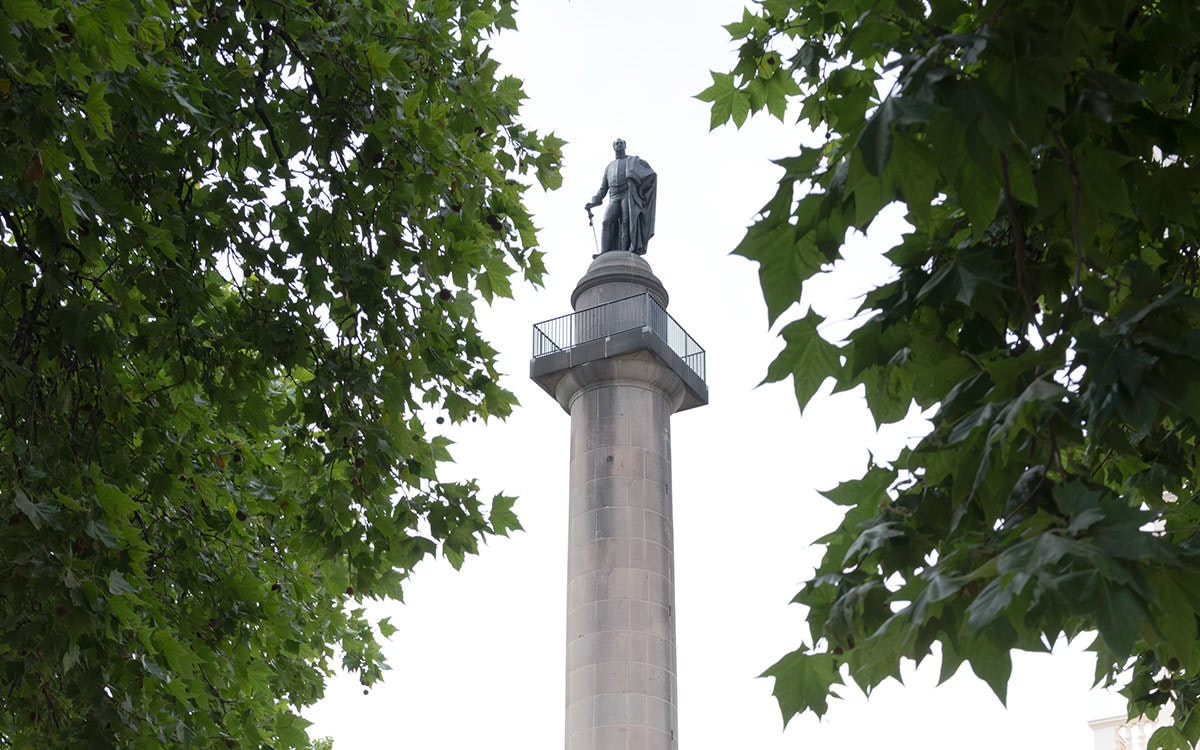 Trees in front of the Duke of York Column