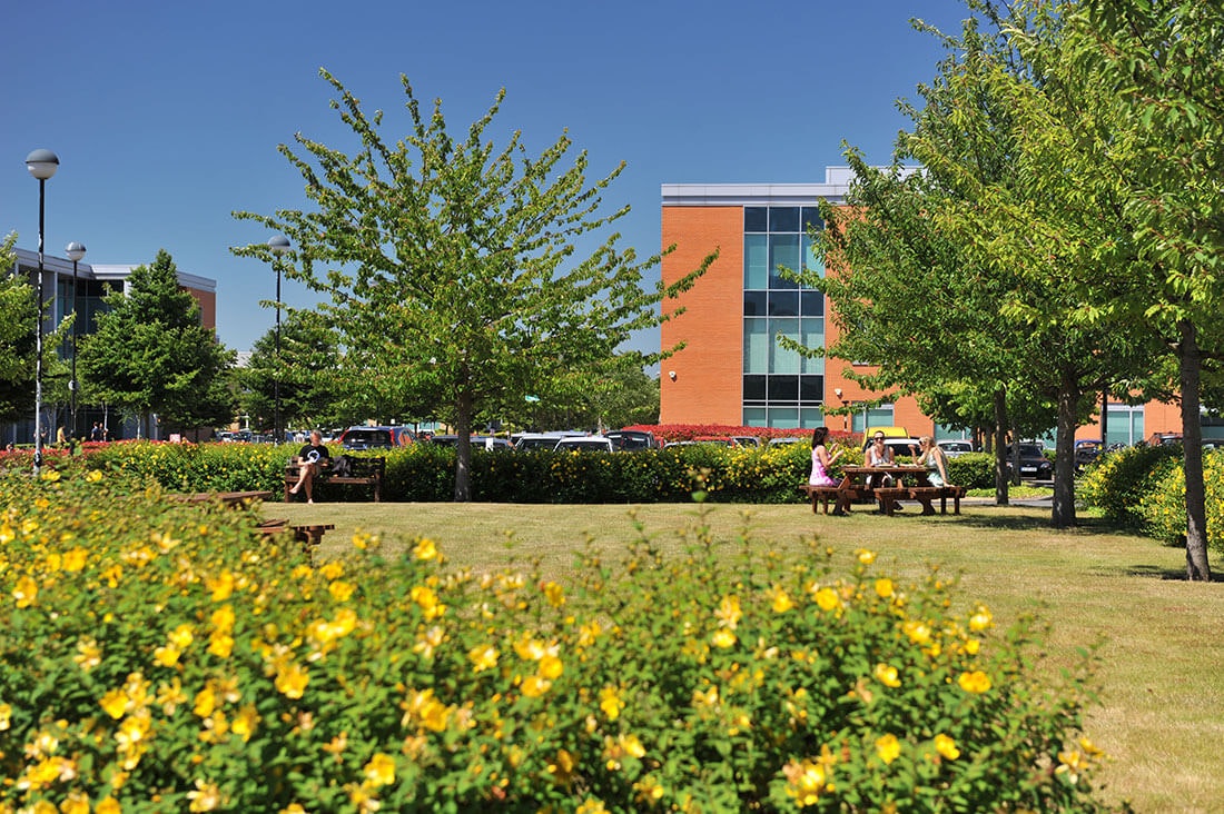 Green field and flowers with people on picnic bench in front of a building