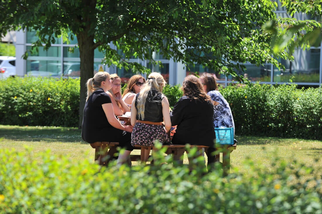 People sitting on picnic bench on a green field with a tree