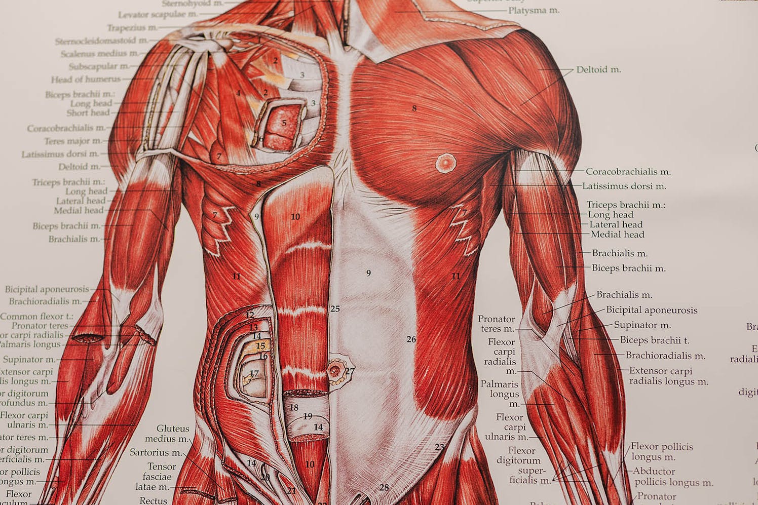 Achieva Health interior