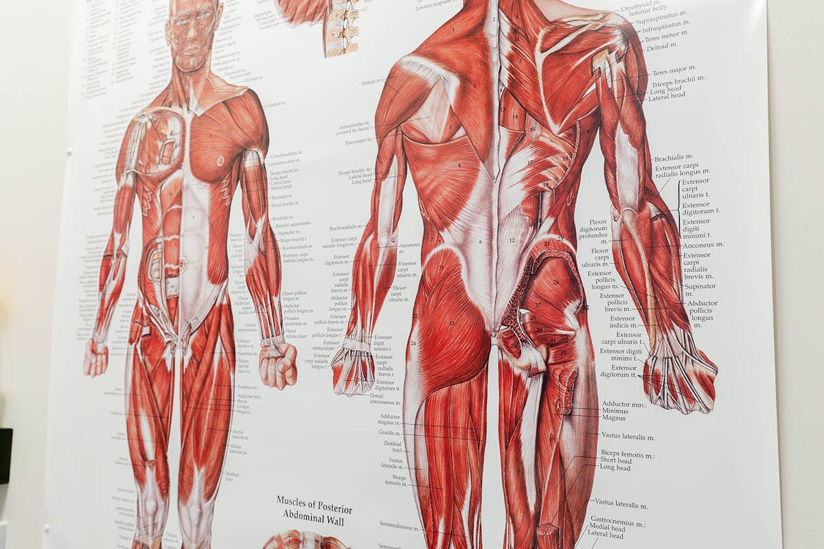 Physiotherapist guiding patient through exercise