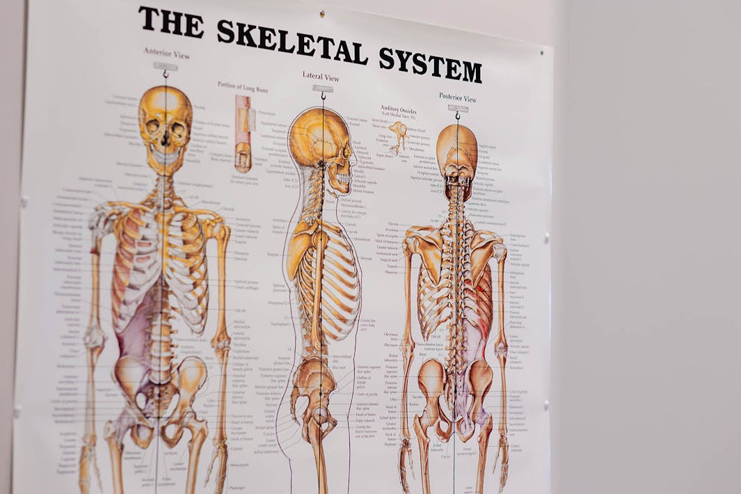 Therapist assisting with mobility exercises