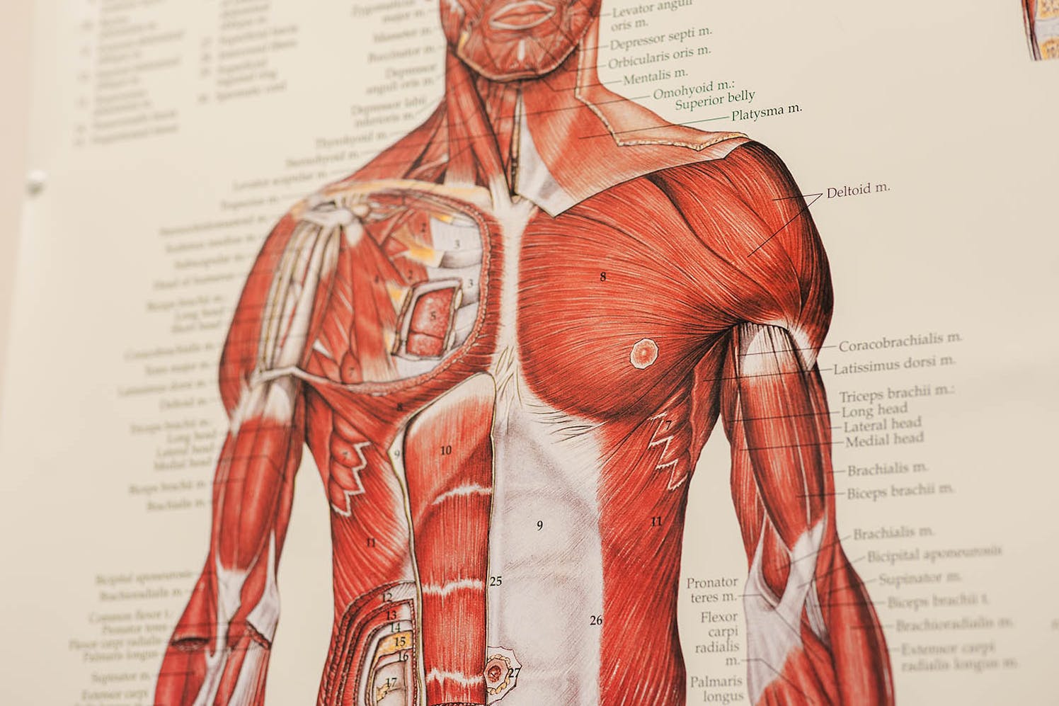 Personal training at ACHIEVA HEALTH Leaside
