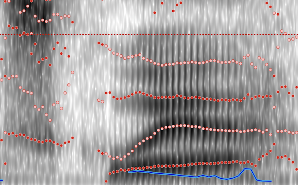 Image of a spectrogram