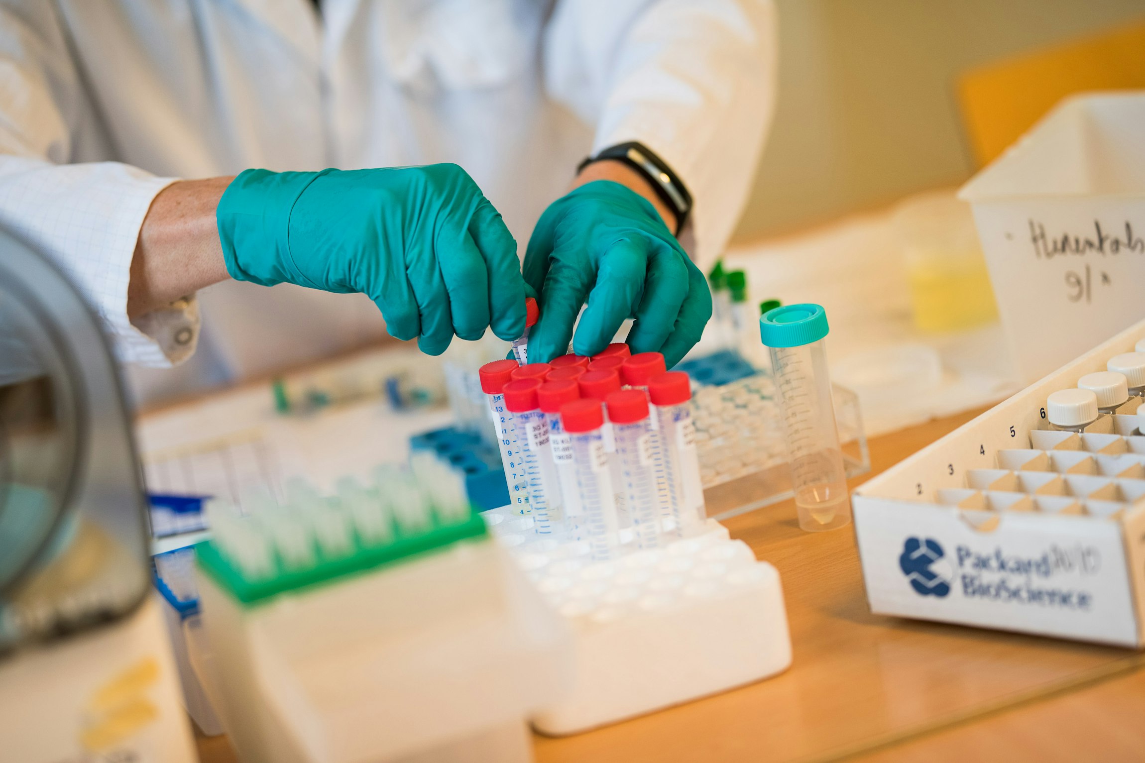 Gezondheidsstudie 3xG
