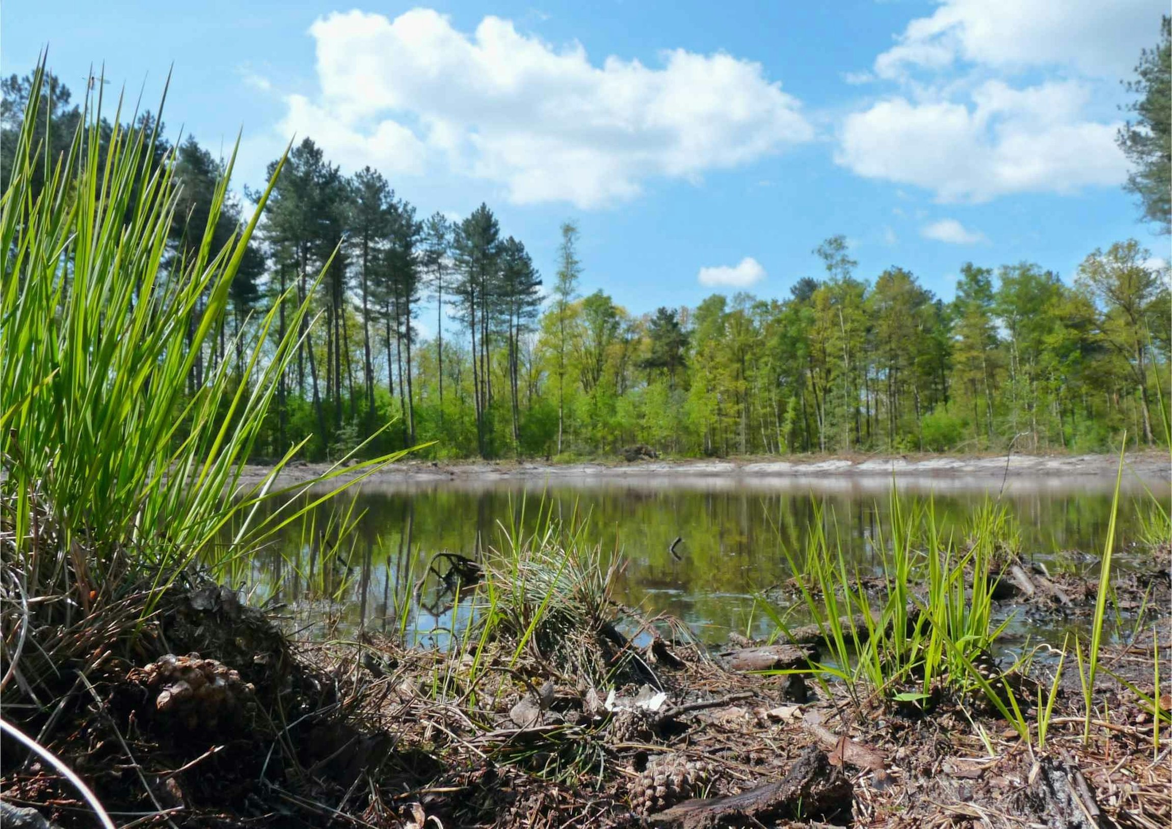 Plan de gestion de la nature lié au stockage en surface